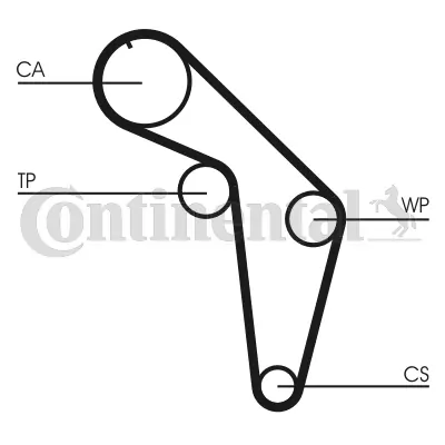 Timing Belt